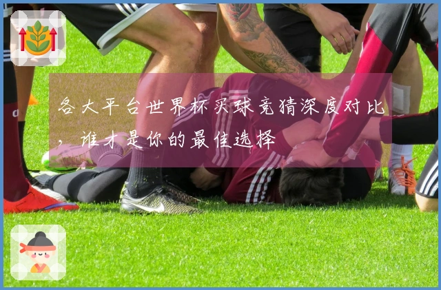 各大平台世界杯买球竞猜深度对比，谁才是你的最佳选择