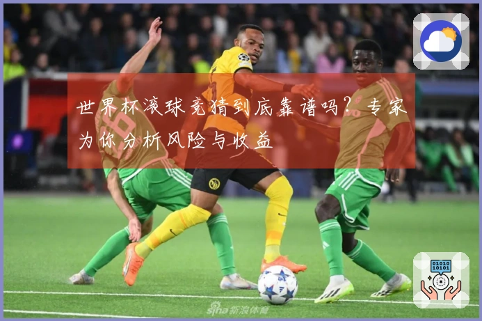 世界杯滚球竞猜到底靠谱吗？专家为你分析风险与收益