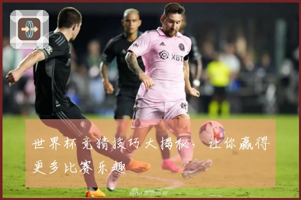 世界杯竞猜技巧大揭秘，让你赢得更多比赛乐趣