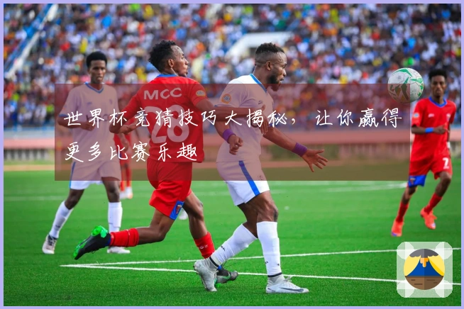世界杯竞猜技巧大揭秘，让你赢得更多比赛乐趣
