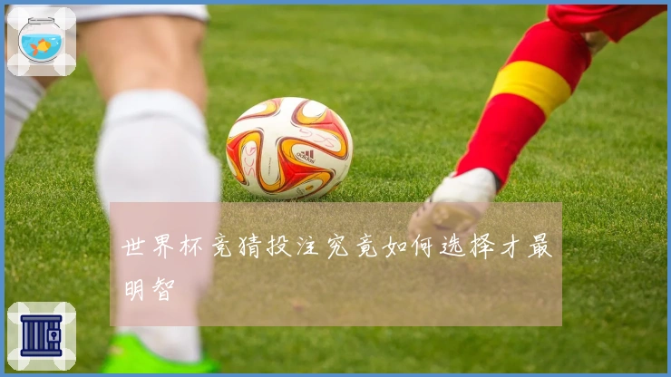 世界杯竞猜投注究竟如何选择才最明智