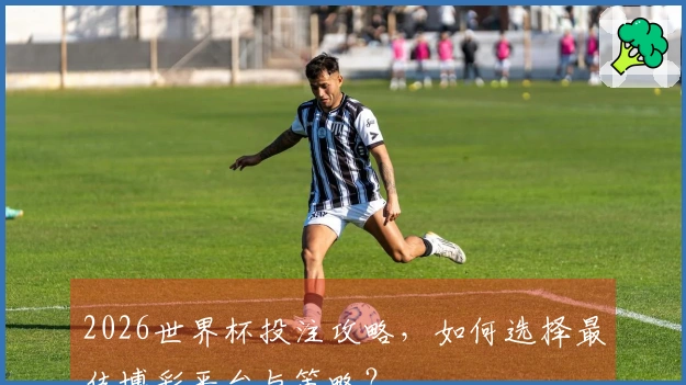 2026世界杯投注攻略，如何选择最佳博彩平台与策略？